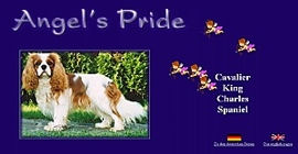 banner angel's pride