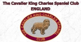 banner cavalier club engeland