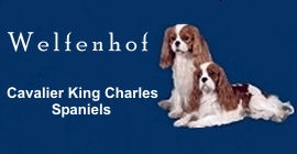 banner welfenhof