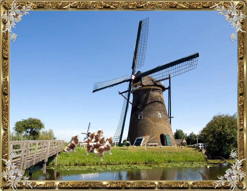 daar bij die molen