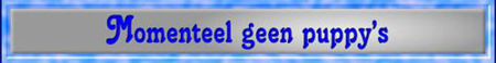 geen puppy's