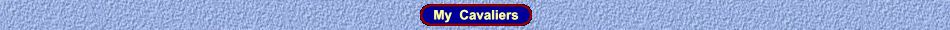 topbar my cavaliers